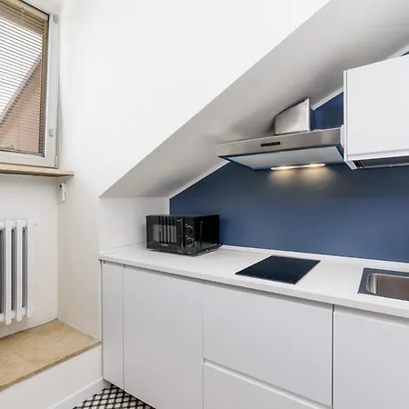 Апартаменты Splendida Mansarda Nel Centro Della Citta Турин