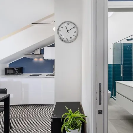 Splendida Mansarda Nel Centro Della Citta Turijn